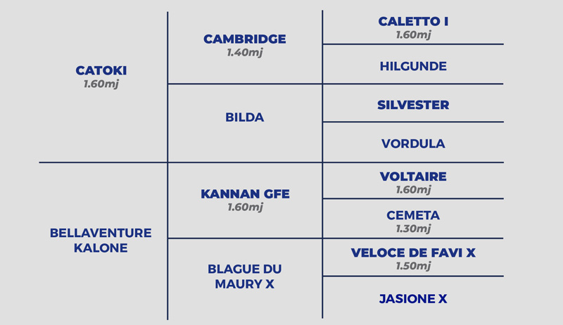 Ermitage Kalone pedigree