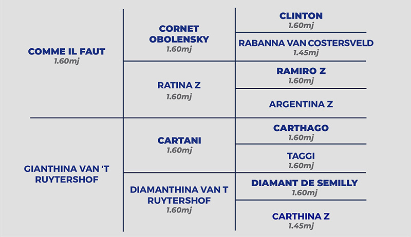 Pegase Van ‘t Ruytershof pedigree